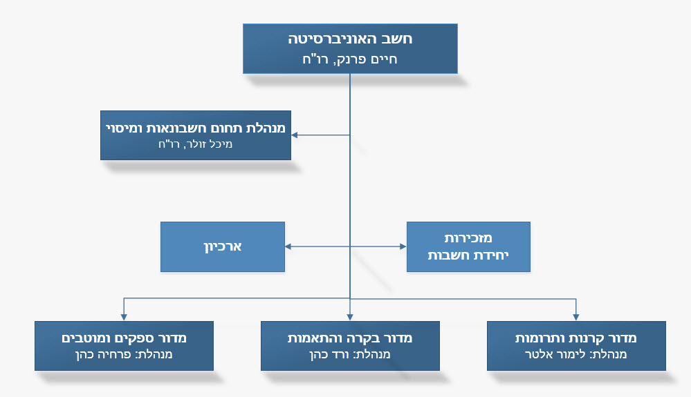 מבנה ארגוני - יחידת חשבות